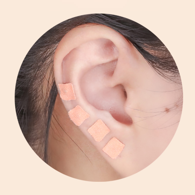 600Pcs Cowherb Seed Ear Sticke - Herbal Wellness Massage 评论和价格